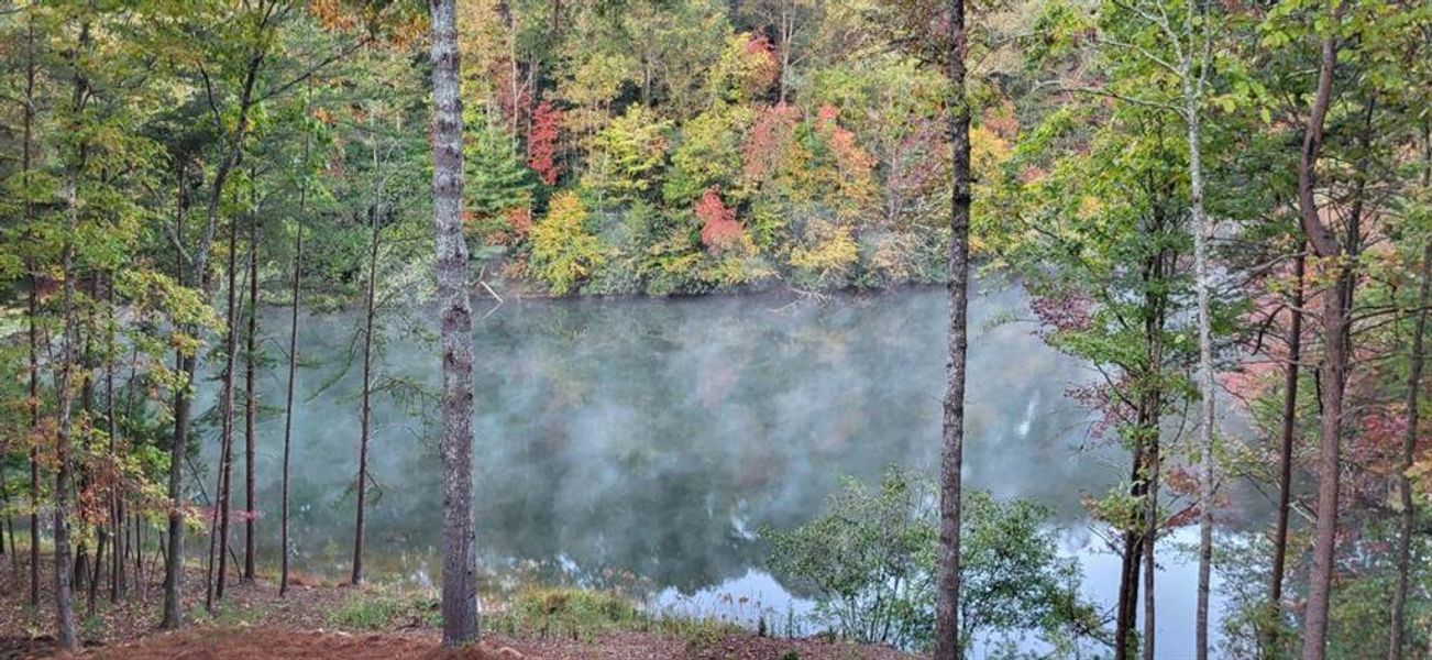 Natural landscape and outdoor views near in Ellijay (Image 36). Natural landscape and outdoor views near in Ellijay (Image 36).