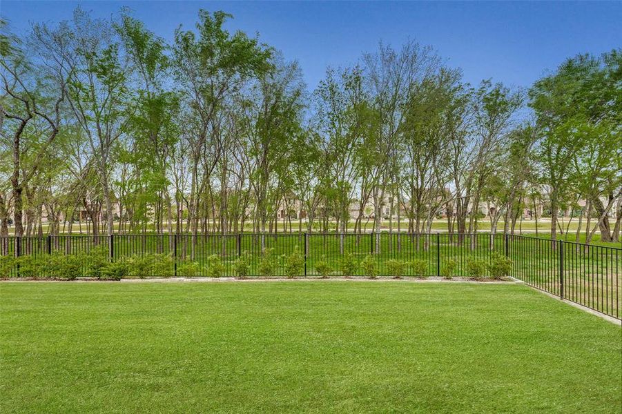 Natural landscape and outdoor views near Mantua Point in Van Alstyne (Image 38).