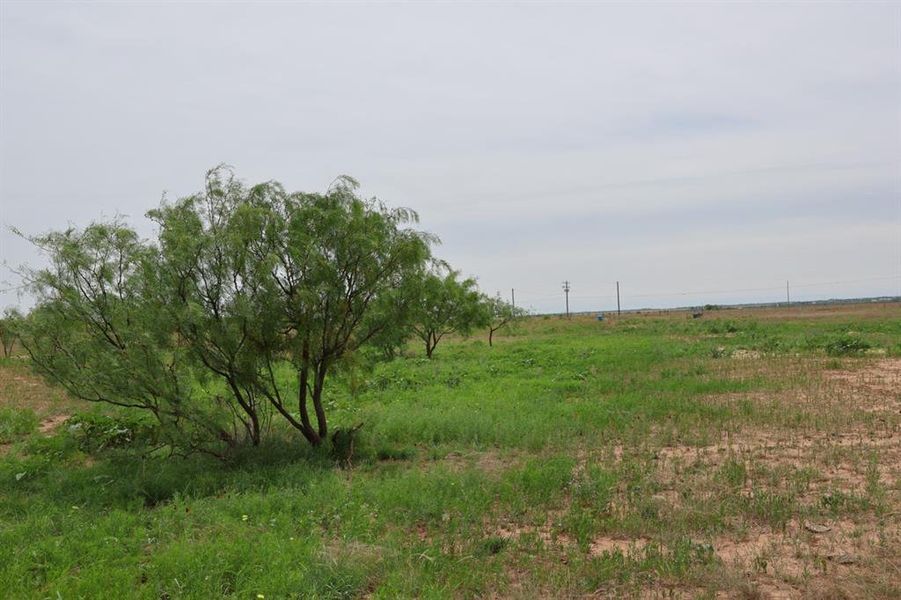 Natural landscape and outdoor views near  in Merkel (Image 9).