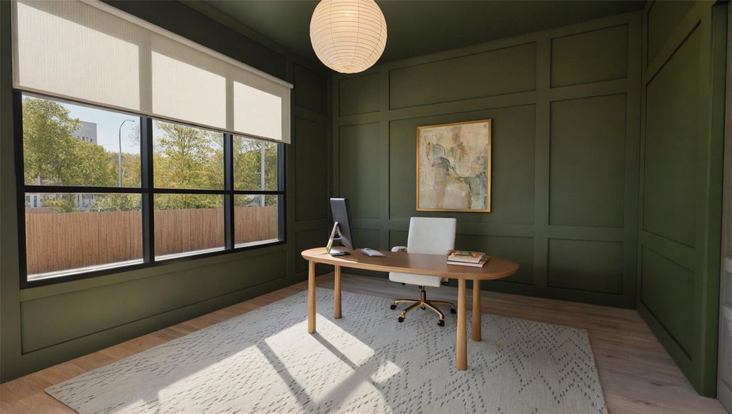 Study rendering Study rendering