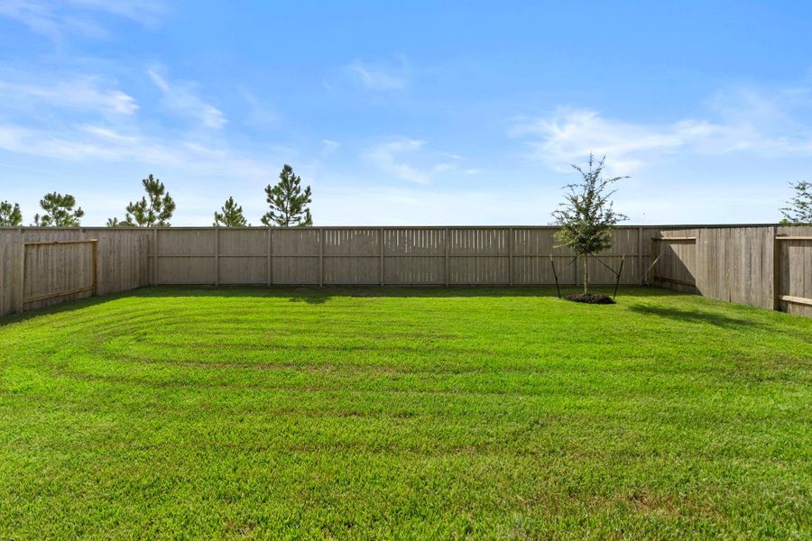 Exterior details and patio area of a home in Harrington Trails at The Canopies, Splendora (Image 3).