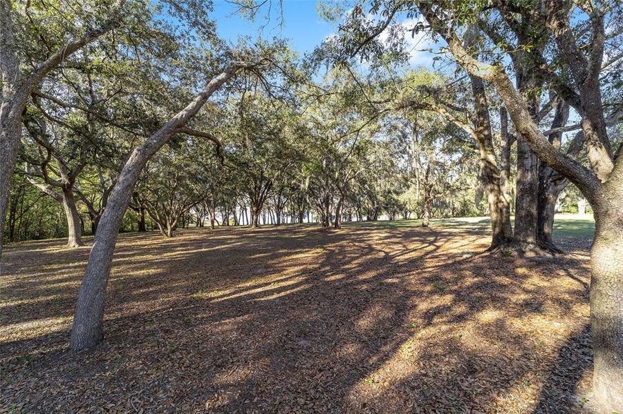 Natural landscape and outdoor views near  in Belleview (Image 81).