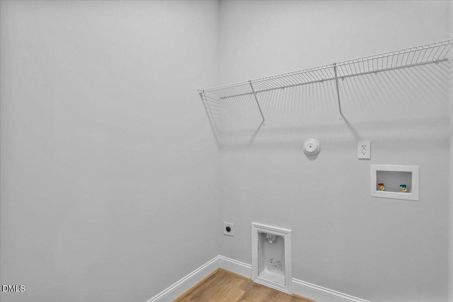 28-Lan 1181 Flora-28