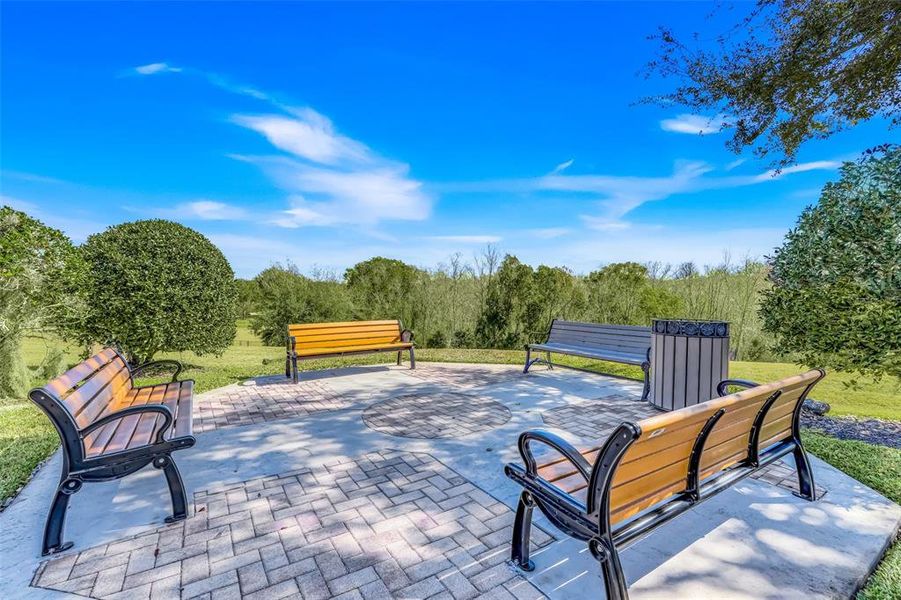 Community amenities in Summerbrooke, Mount Dora (Image 35).