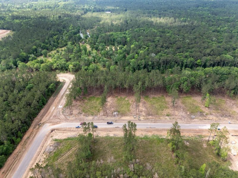 Site preparation for new homesites in , Conroe (Image 5).
