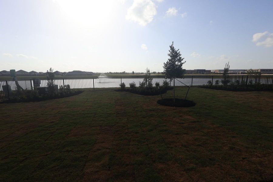 Backyard with lush landscaping - still under construction! Backyard with lush landscaping - still under construction!