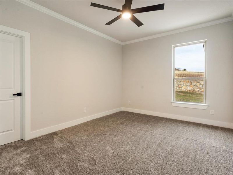 Carpeted empty room with ornamental molding and ceiling fan