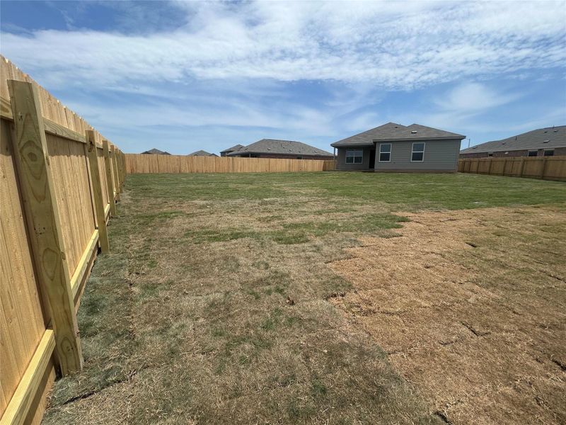 Front exterior of a new home in Cotton Brook: Claremont Collection, Hutto, TX, highlighting curb appeal (Image 2). Front exterior of a new home in Cotton Brook: Claremont Collection, Hutto, TX, highlighting curb appeal (Image 2).