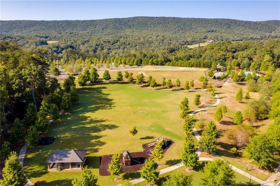 Natural landscape and outdoor views near  in Waleska (Image 24).