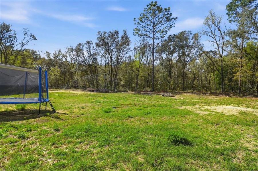 Natural landscape and outdoor views near  in Bronson (Image 32).