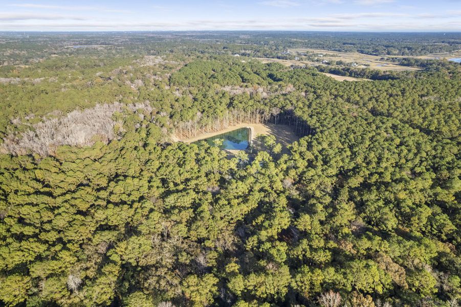Natural landscape and outdoor views near  in Johns Island (Image 65).