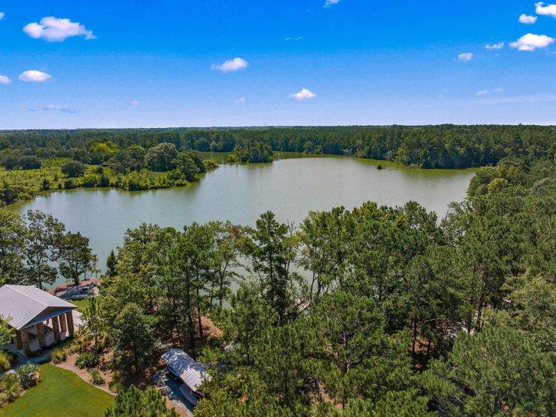 Natural landscape and outdoor views near Heron's Walk at Summers Corner in Summerville (Image 54).