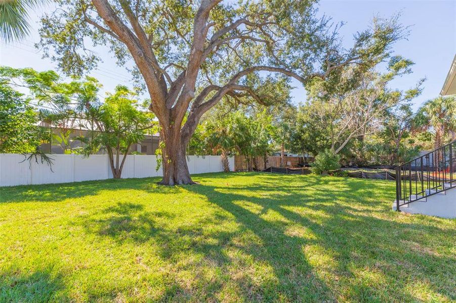 Exterior details and patio area of a home in , Tampa (Image 33). Exterior details and patio area of a home in , Tampa (Image 33).