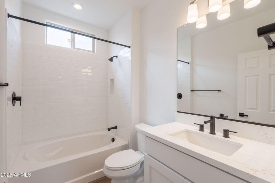 24-web-or-mls-Bittercress-24 24-web-or-mls-Bittercress-24