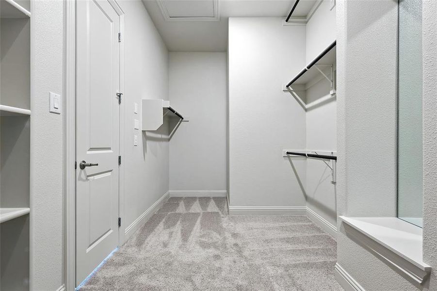 Walk in closet featuring light carpet