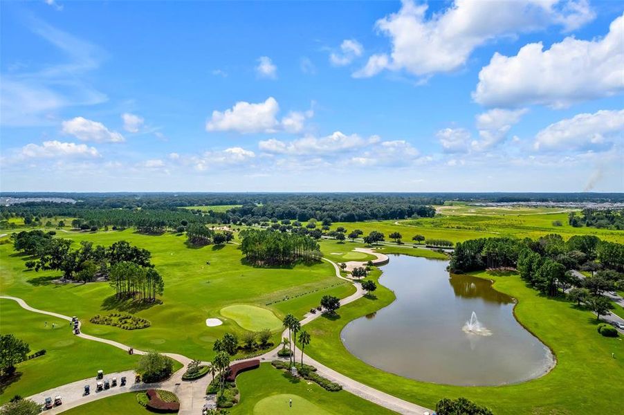 Natural landscape and outdoor views near  in Ocala (Image 50).