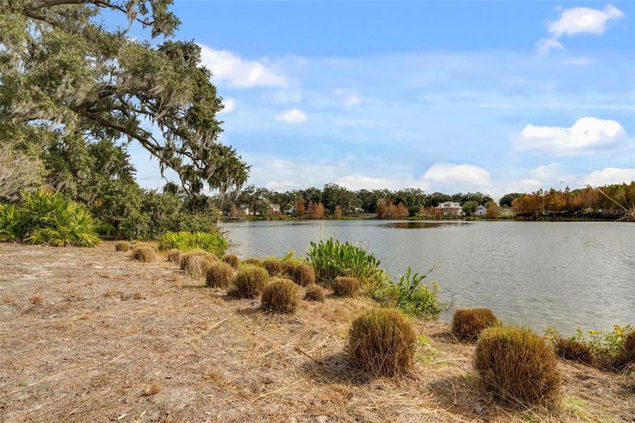 Natural landscape and outdoor views near Oakland Park in Winter Garden (Image 43).