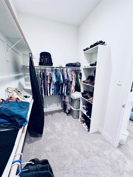 Walk in closet featuring carpet floors