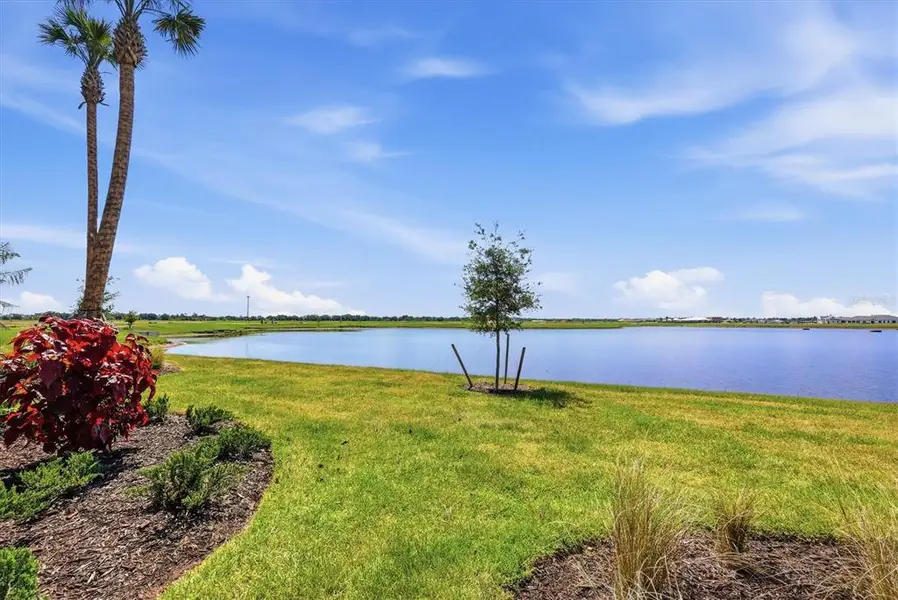 Natural landscape and outdoor views near  in Bradenton (Image 33).