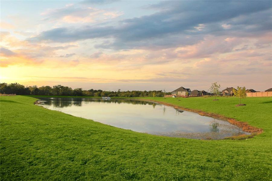 Natural landscape and outdoor views near Monterra in Fate (Image 21).