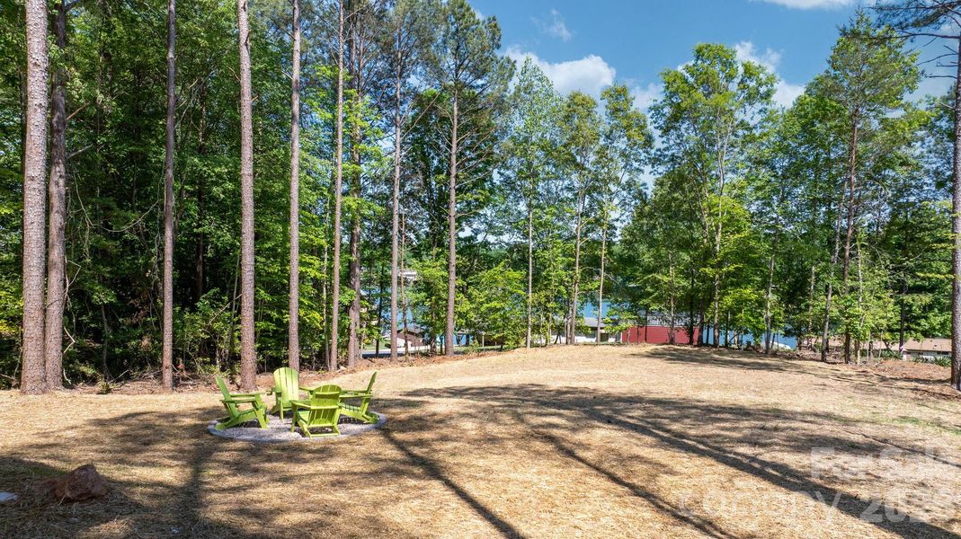 Natural landscape and outdoor views near  in Hickory (Image 37).