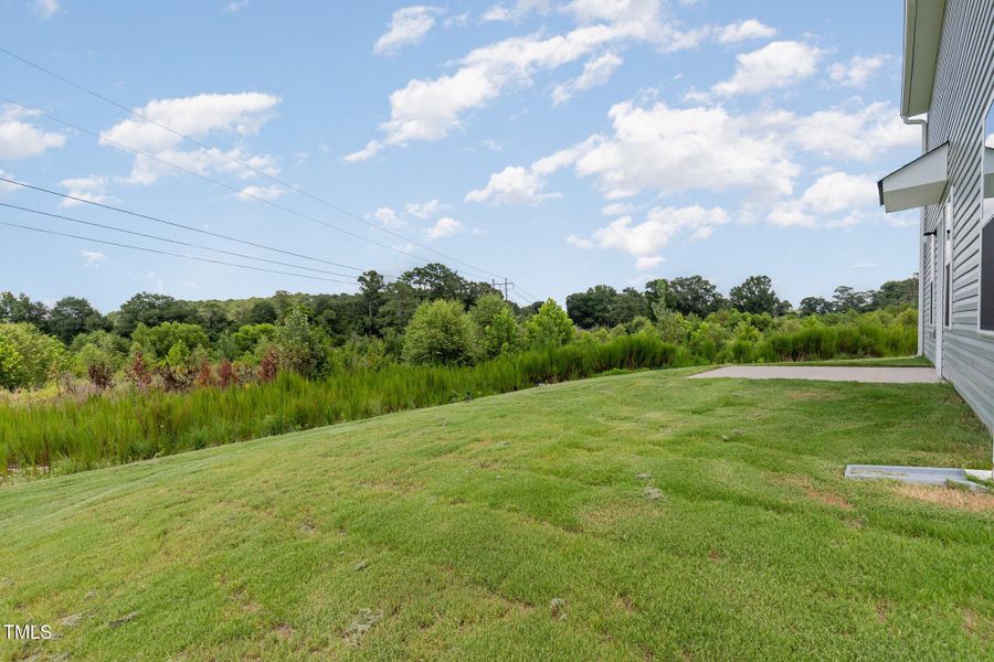 028_img_0318-edit_570