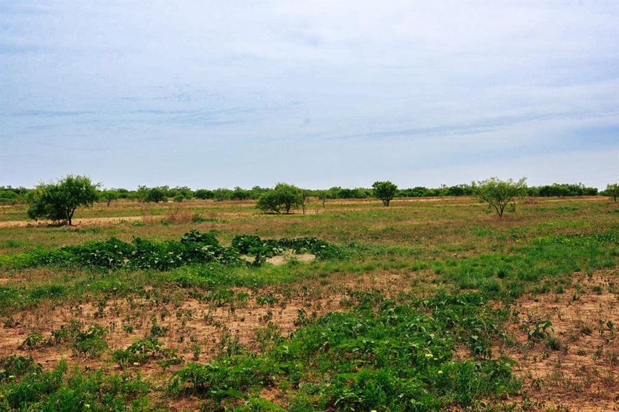 Natural landscape and outdoor views near  in Merkel (Image 7).