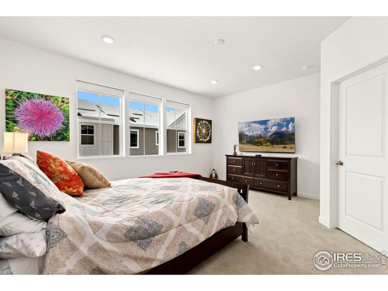 Primary bedroom with gorgeous windows, walk-in closet.