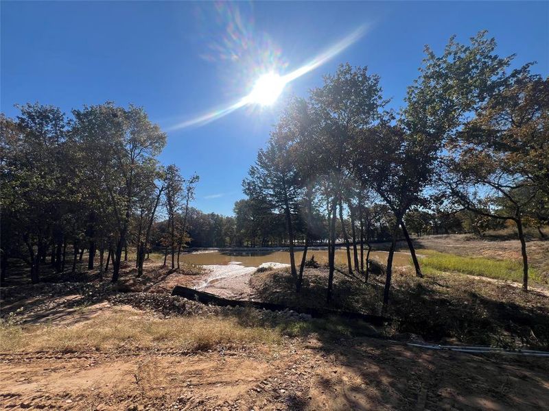 Natural landscape and outdoor views near Escondido Ranches in Poolville (Image 22).