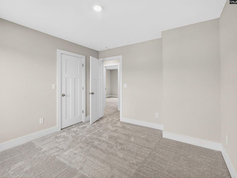 Spacious, unfurnished interior of a new home in Collins Cove, Chapin (Image 53).