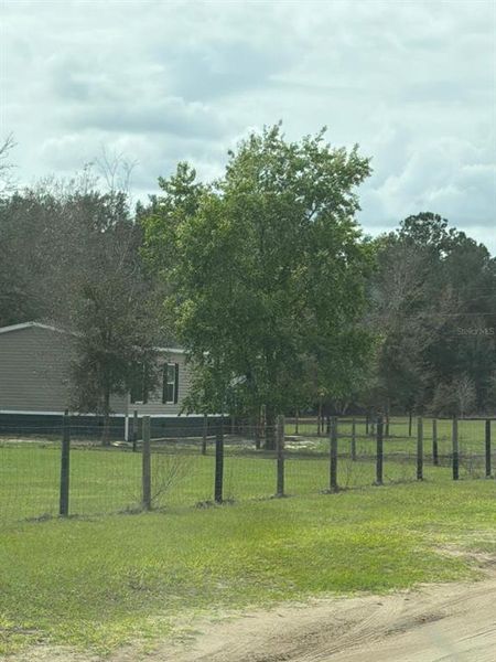 Natural landscape and outdoor views near  in Bronson (Image 25).