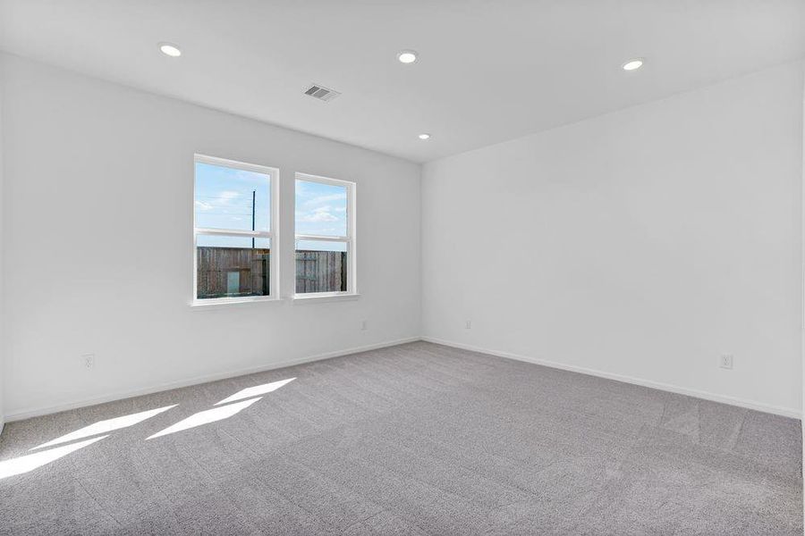 615 Yaupon Holly ~ Ready Now