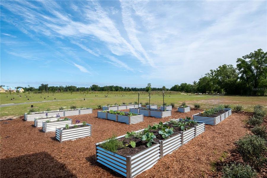 Community amenities in , Archer (Image 17).