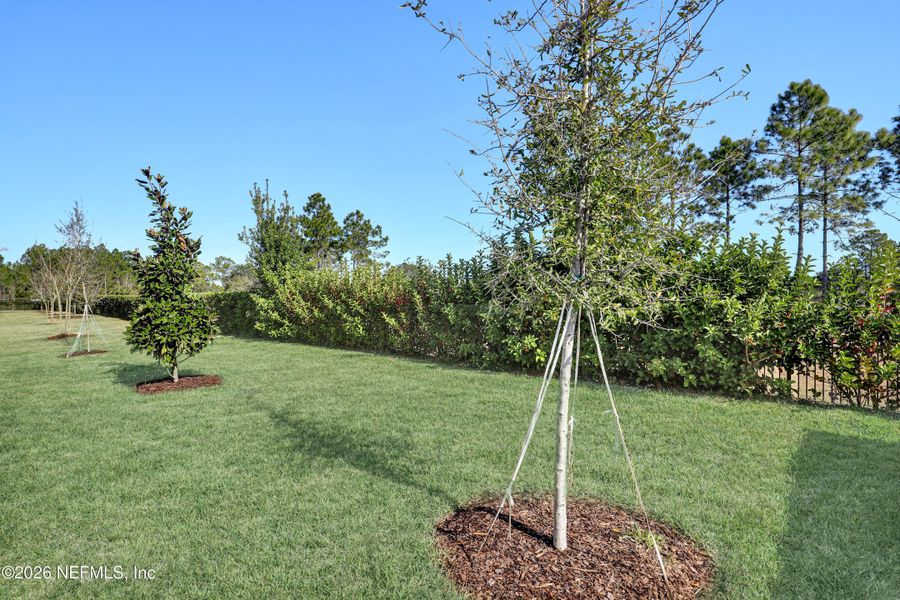Natural landscape and outdoor views near New 55+ Active Adult Community in Palm Coast, Florida in Palm Coast (Image 20).