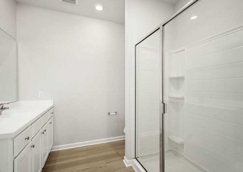 The master bathroom has a large vanity and a step in shower.