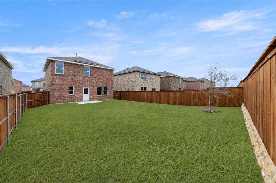 27. 14143 Donohue - Back (2) 27. 14143 Donohue - Back (2)