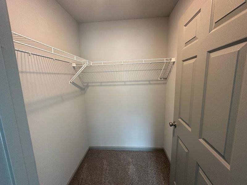 Walk in closet featuring carpet