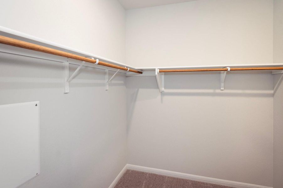 Spacious closet with carpet floors Spacious closet with carpet floors