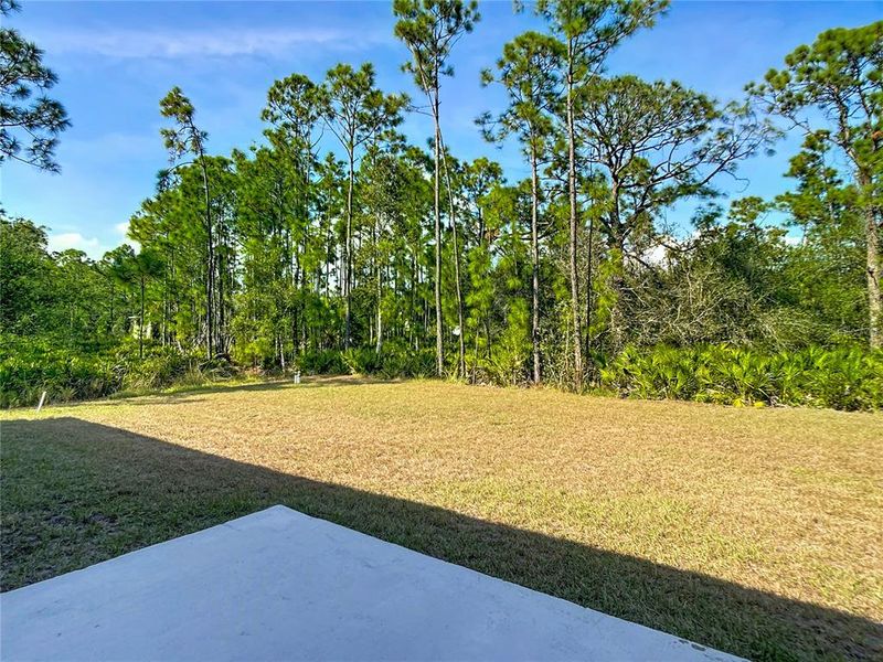 Natural landscape and outdoor views near  in Punta Gorda (Image 39).