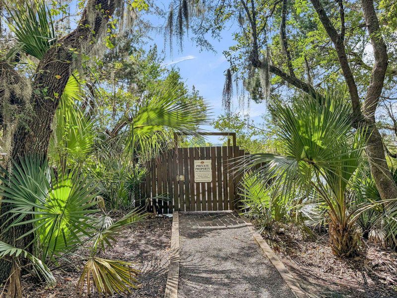 Natural landscape and outdoor views near  in North Charleston (Image 33).
