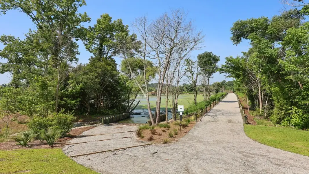 Natural landscape and outdoor views near Carolina Groves in Moncks Corner (Image 25).