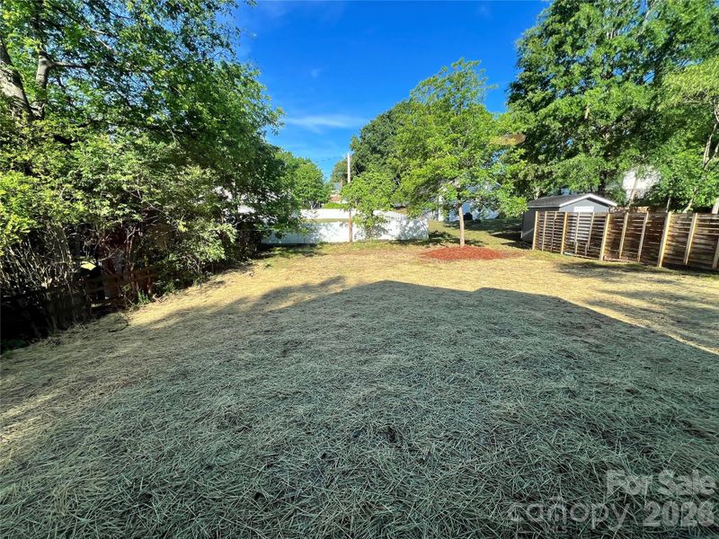 Backyard