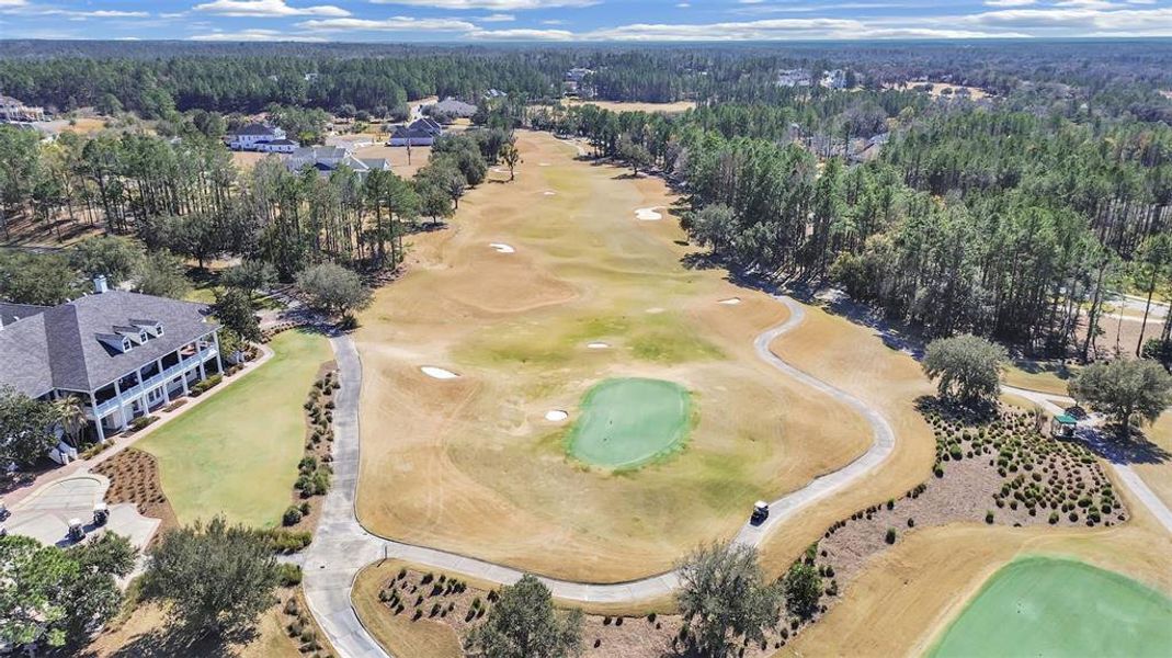 Site preparation for new homesites in Southern Hills Plantation, Brooksville (Image 50).