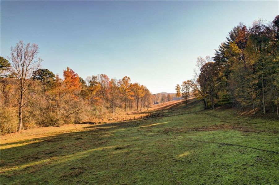 Natural landscape and outdoor views near in Ellijay (Image 113). Natural landscape and outdoor views near in Ellijay (Image 113).