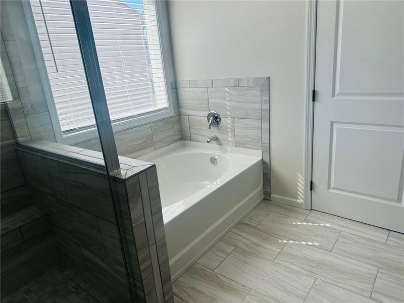 Furnished interior view inside a new home in Beckett Ranch, Auburn (Image 6).