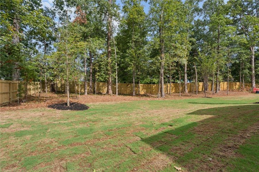 Natural landscape and outdoor views near  in Smyrna (Image 42).