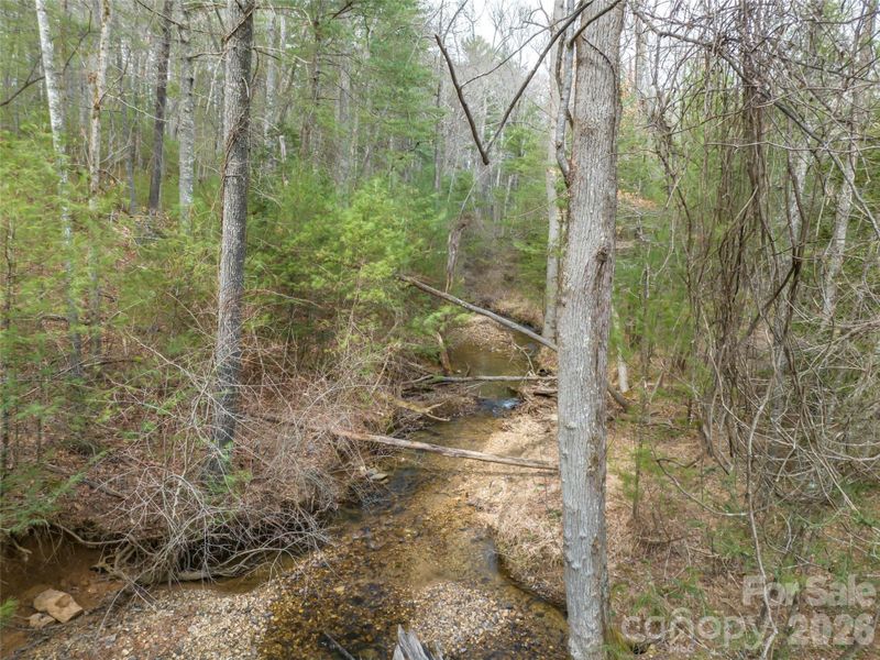 Natural landscape and outdoor views near  in Asheville (Image 31).