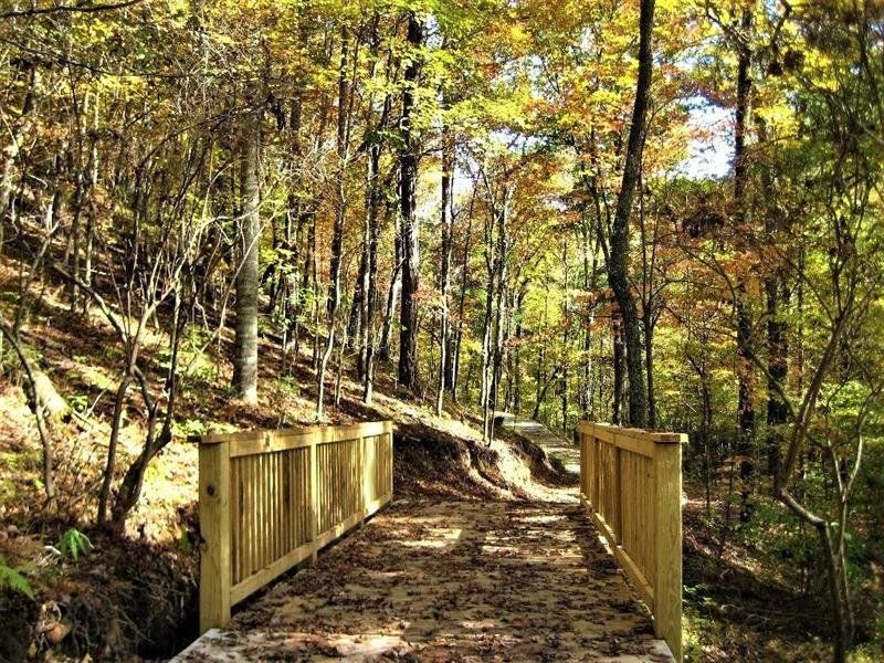 Natural landscape and outdoor views near  in Waleska (Image 30).