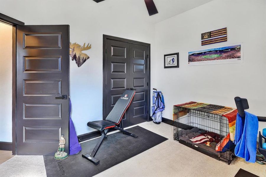 Interior room featuring a ceiling fan, two paneled doors with dark finishes, and light-colored carpeting