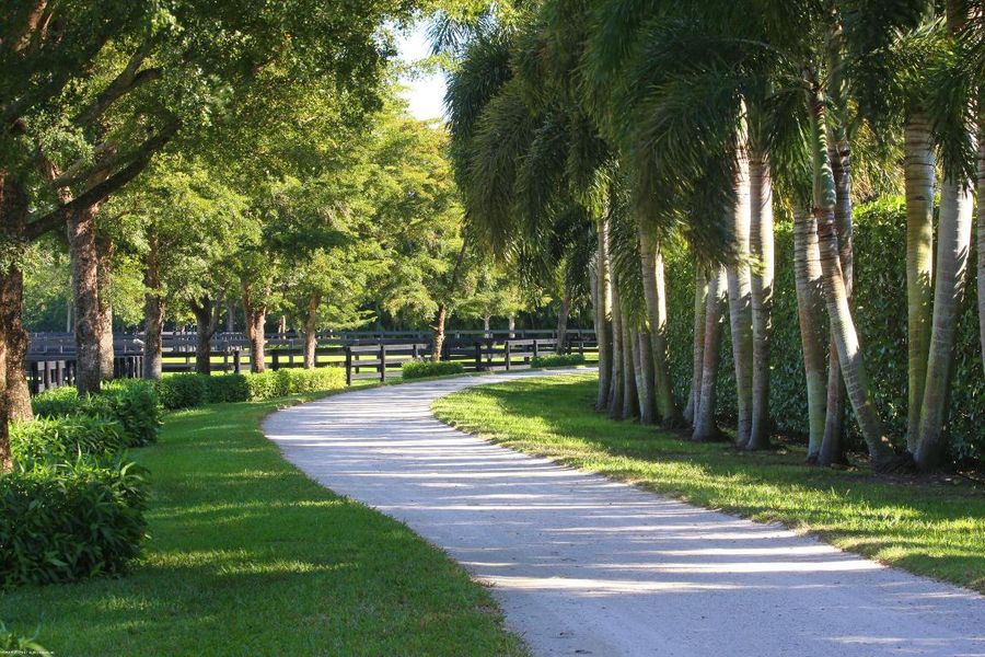 15527 Imperial Point Ln 012